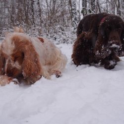 Spaß im Schnee